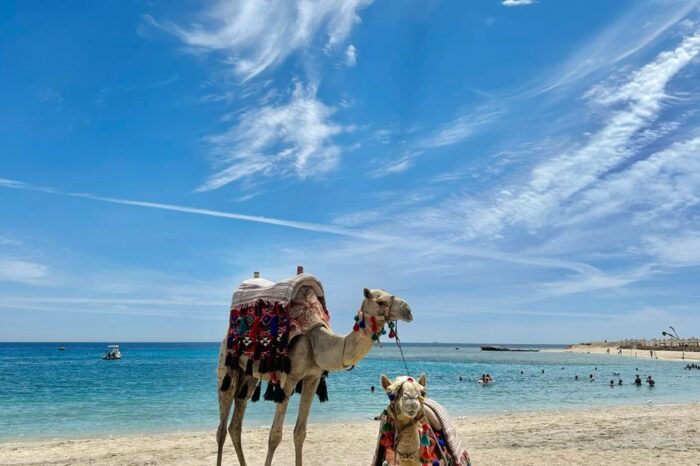 Camel Rides on the Beach